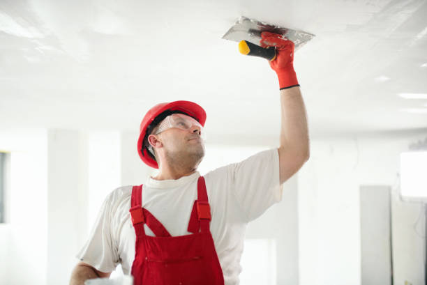 Best Ceiling Drywall Installation  in La Porte, TX